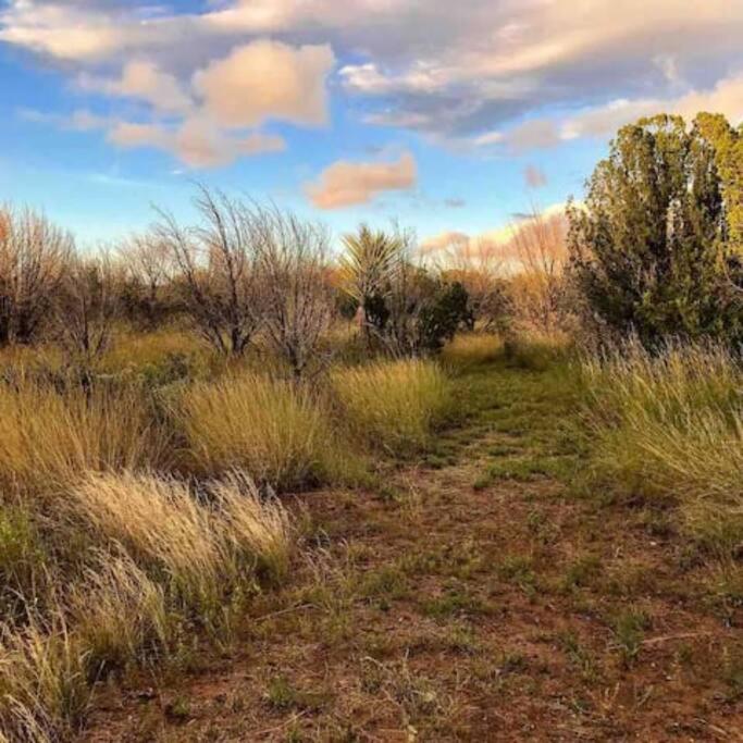 Cottonwood Creek Cabins - Alpine, Tx Екстер'єр фото