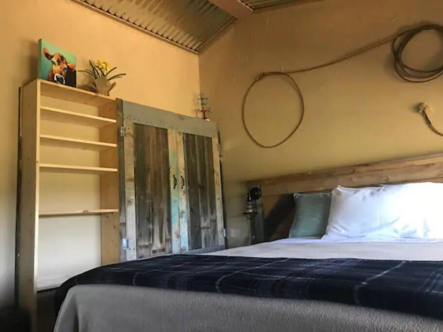 Cottonwood Creek Cabins - Alpine, Tx Екстер'єр фото