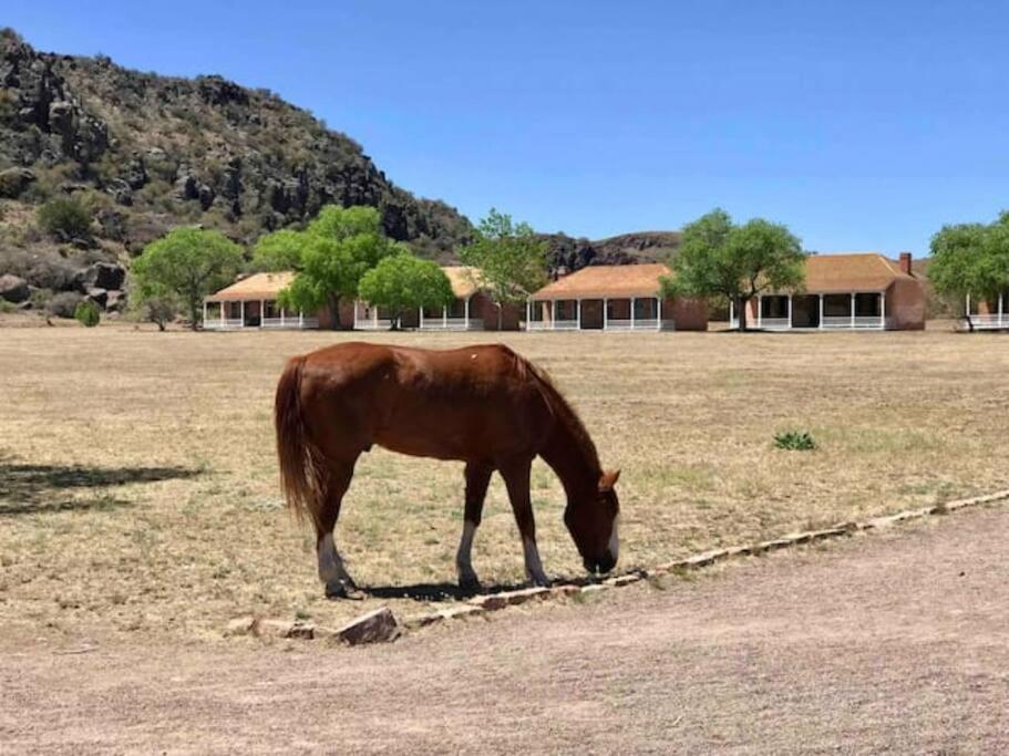 Cottonwood Creek Cabins - Alpine, Tx Екстер'єр фото