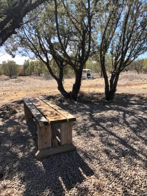 Cottonwood Creek Cabins - Alpine, Tx Екстер'єр фото