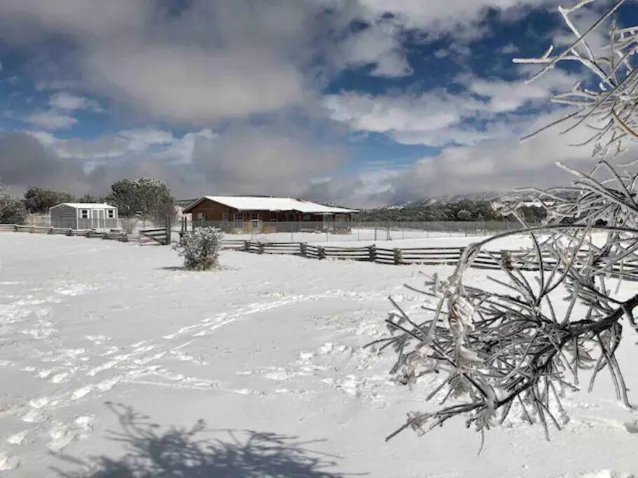 Cottonwood Creek Cabins - Alpine, Tx Екстер'єр фото
