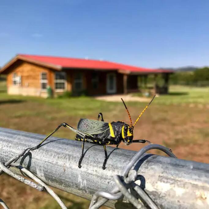 Cottonwood Creek Cabins - Alpine, Tx Екстер'єр фото